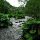 Bachlauf in der Wutachschlucht