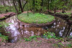 Bachlauf in "Die Burg"