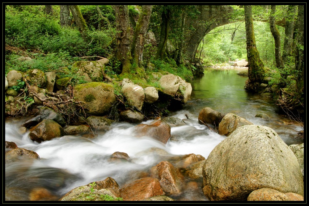 Bachlauf in Frankreich