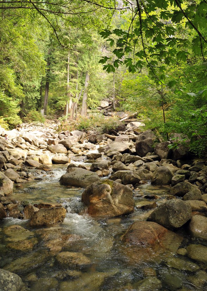 Bachlauf in Kanada