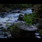 Bachlauf in Kiel Raisdorf