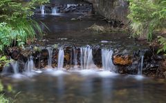 Bachlauf in Müsen