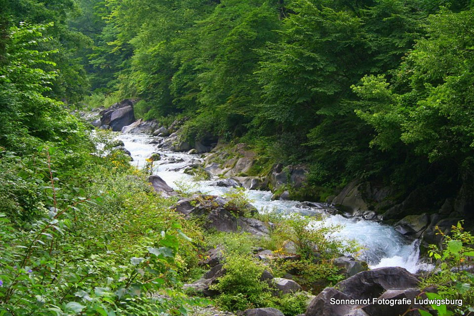 Bachlauf in Nikko, Japan