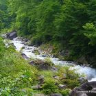 Bachlauf in Nikko, Japan