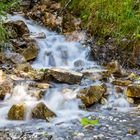 Bachlauf in Österreich