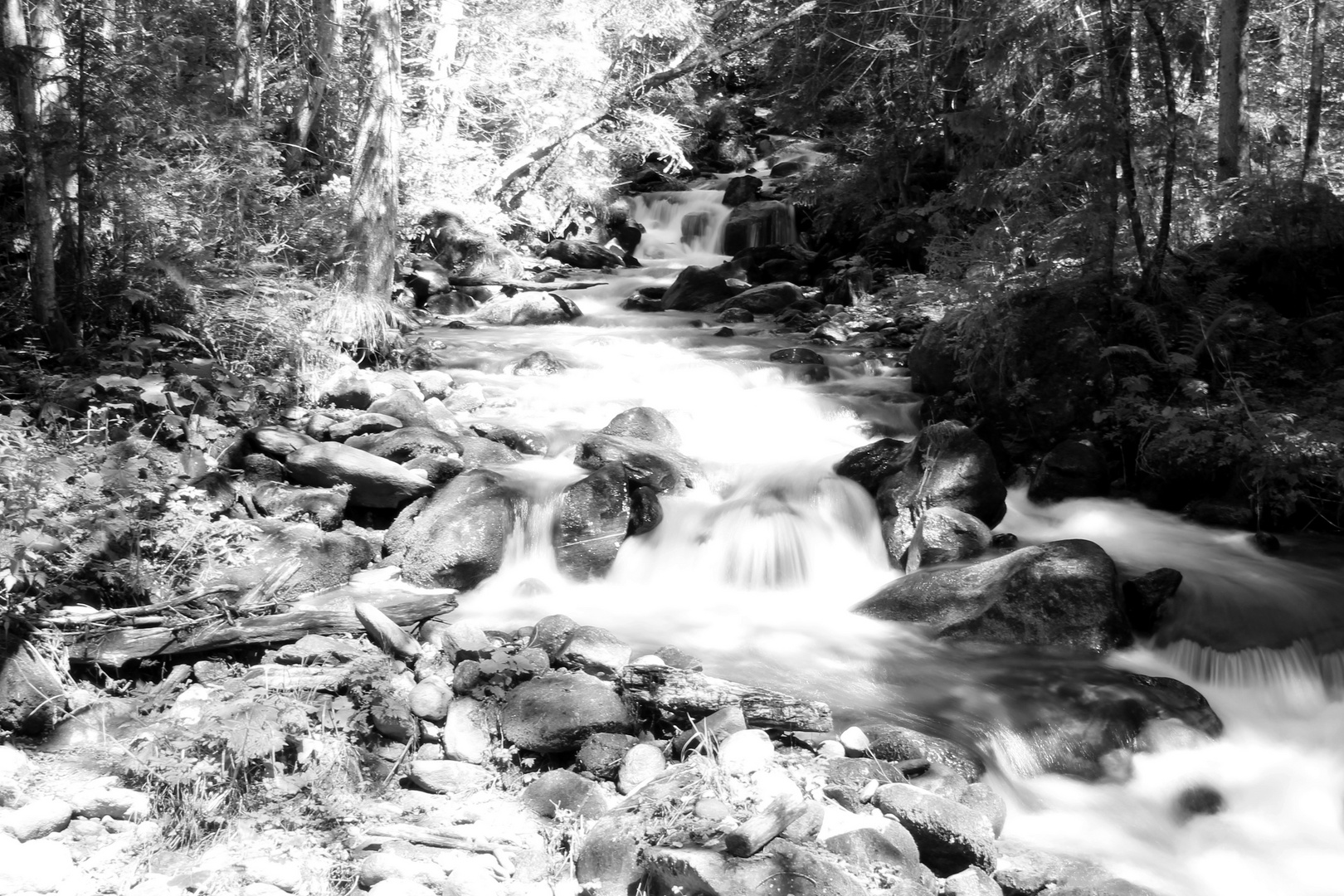 Bachlauf in Österreich