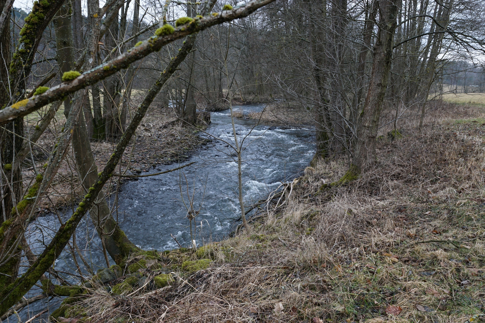 Bachlauf in Schönau a. d. Brend