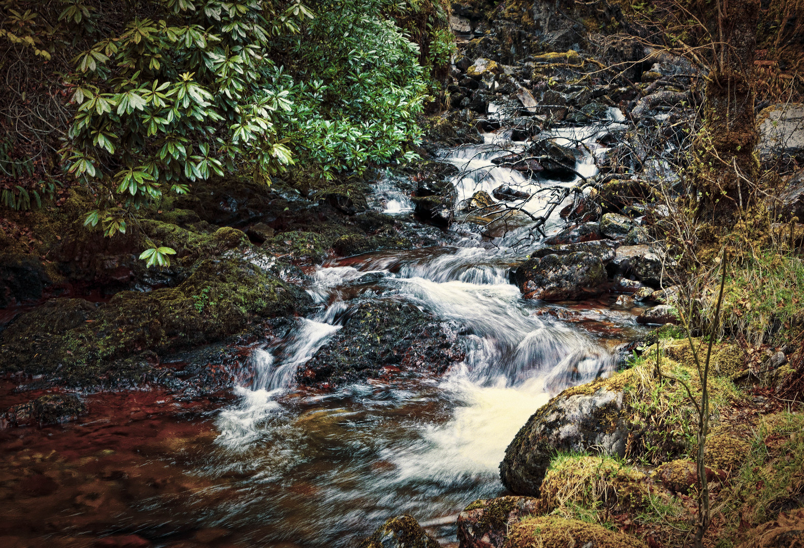 Bachlauf in Schottland