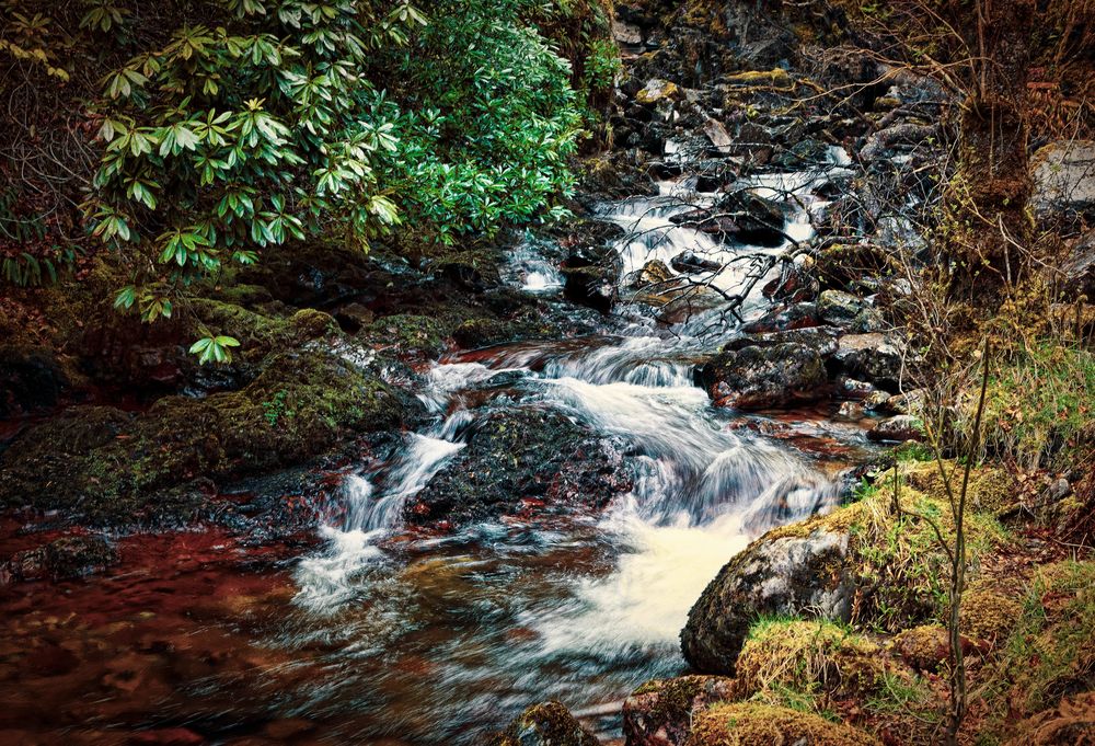 Bachlauf in Schottland