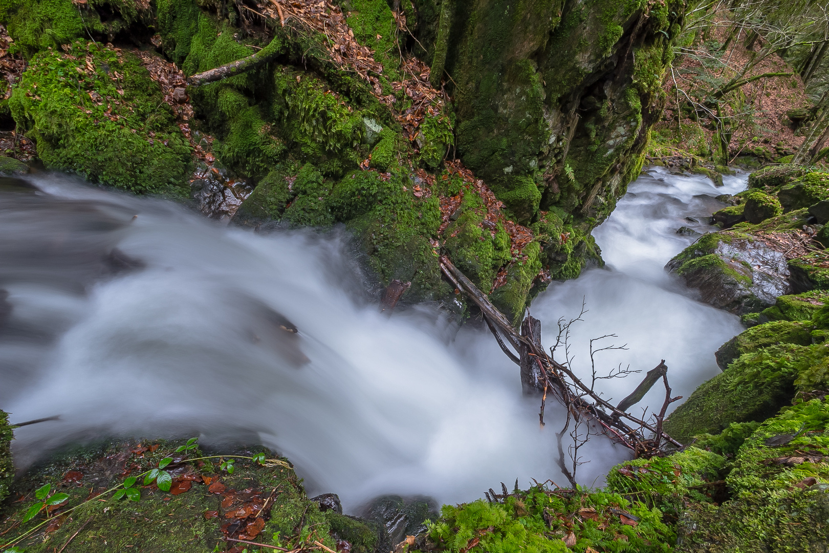 Bachlauf in Simonswald