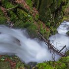 Bachlauf in Simonswald