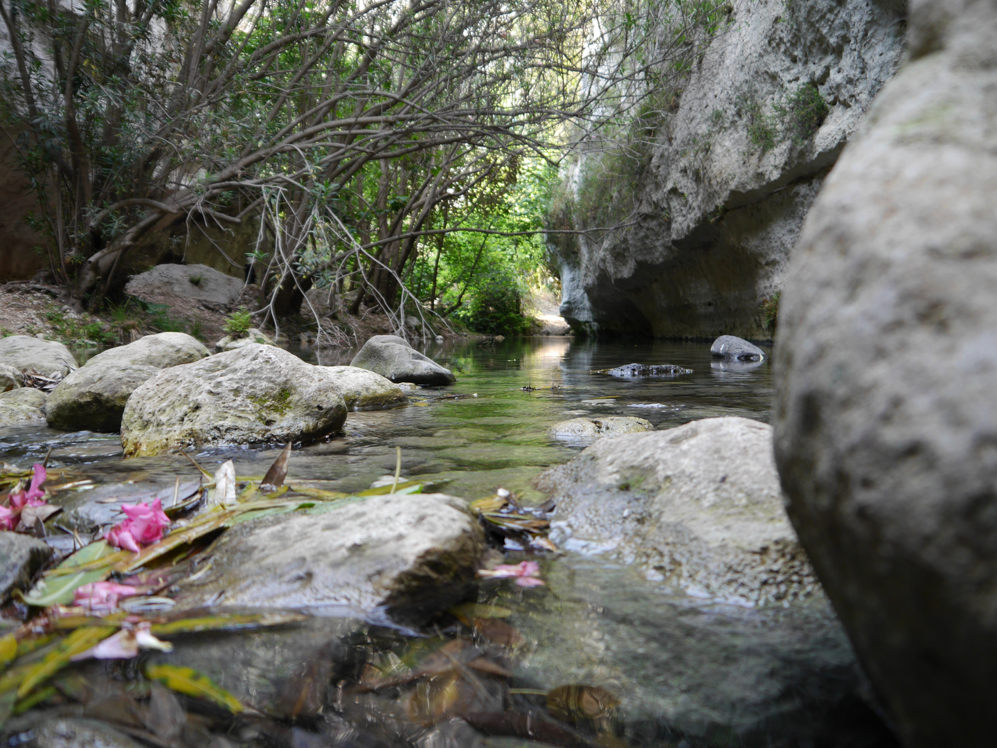 Bachlauf in Sizilien