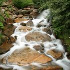 Bachlauf in Südtirol