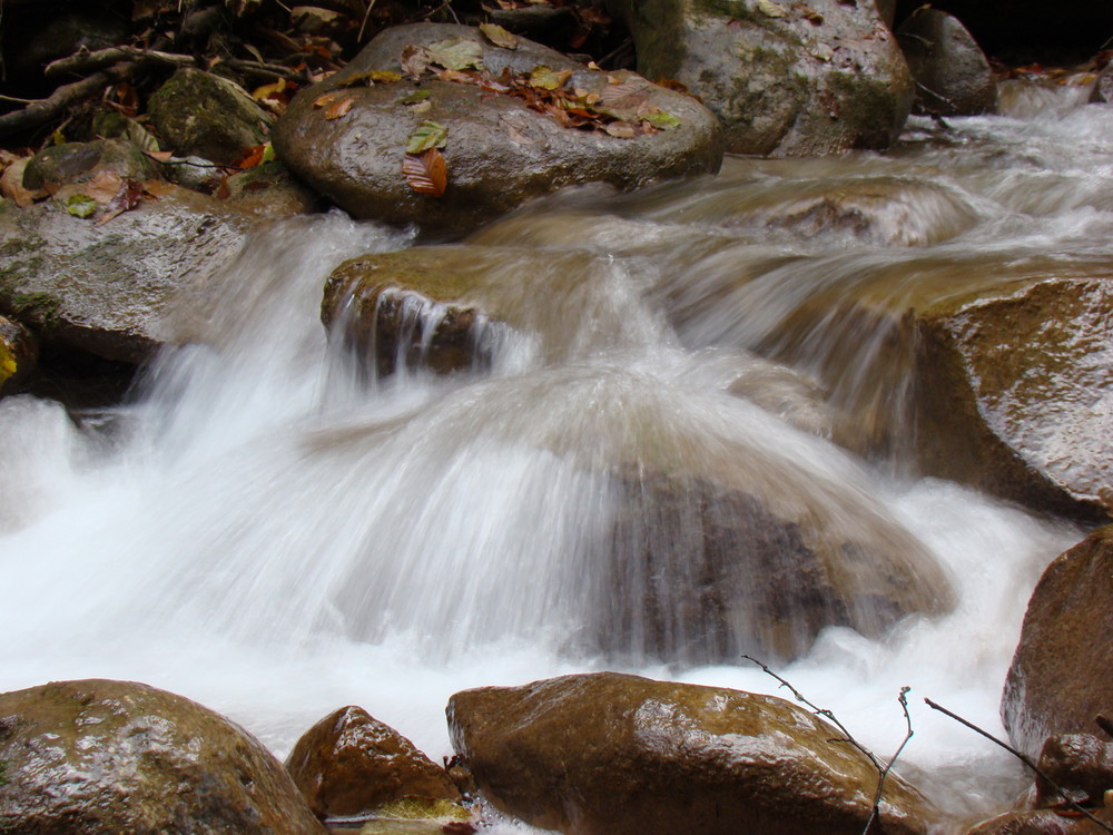 Bachlauf in Südtirol