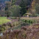 Bachlauf in trüber Herbststimmung