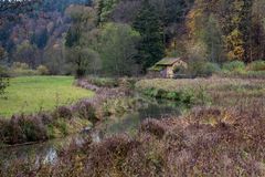 Bachlauf in trüber Herbststimmung