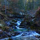 Bachlauf in Untertauern - die Taurach