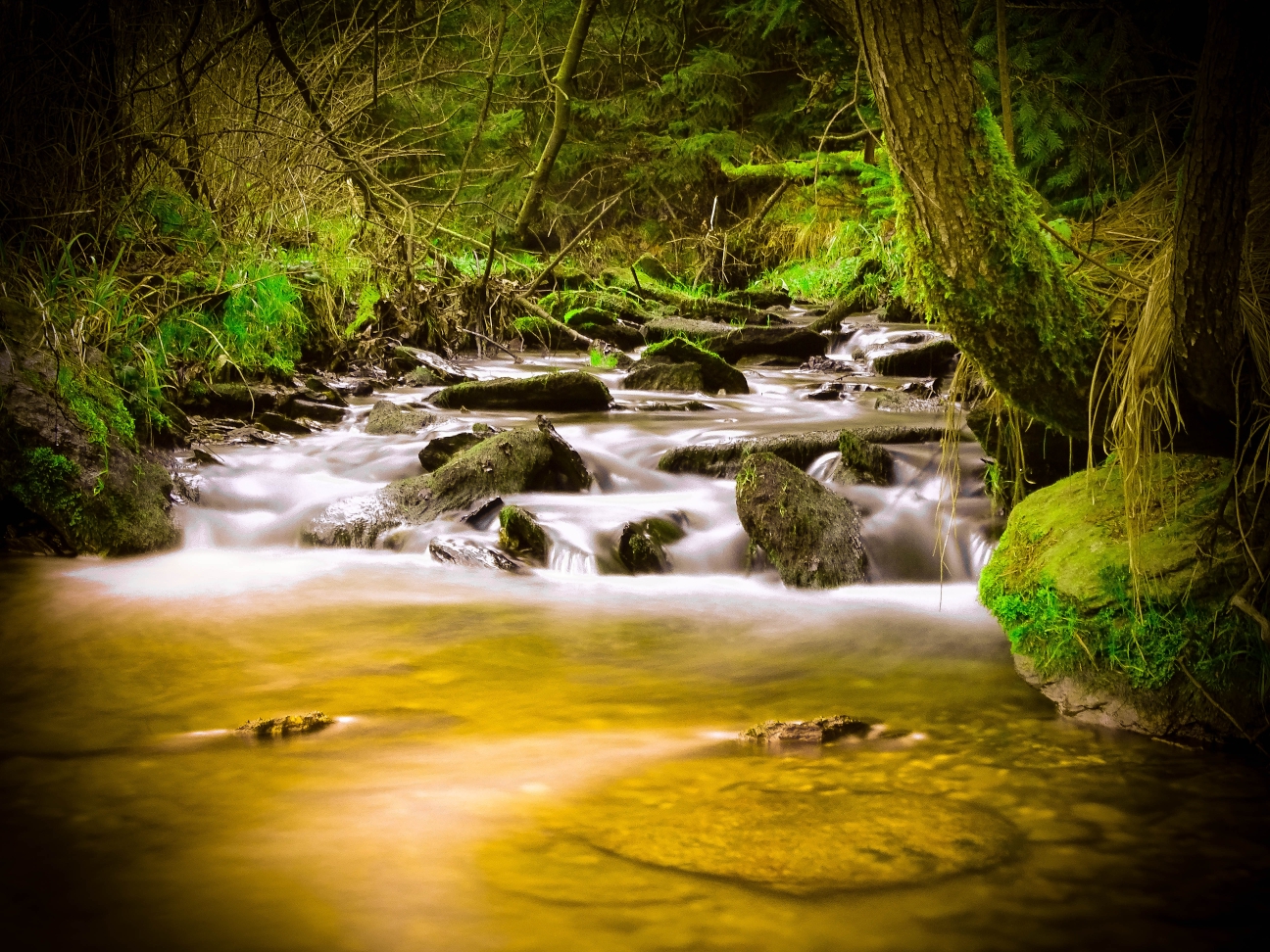 Bachlauf in Waschleithe