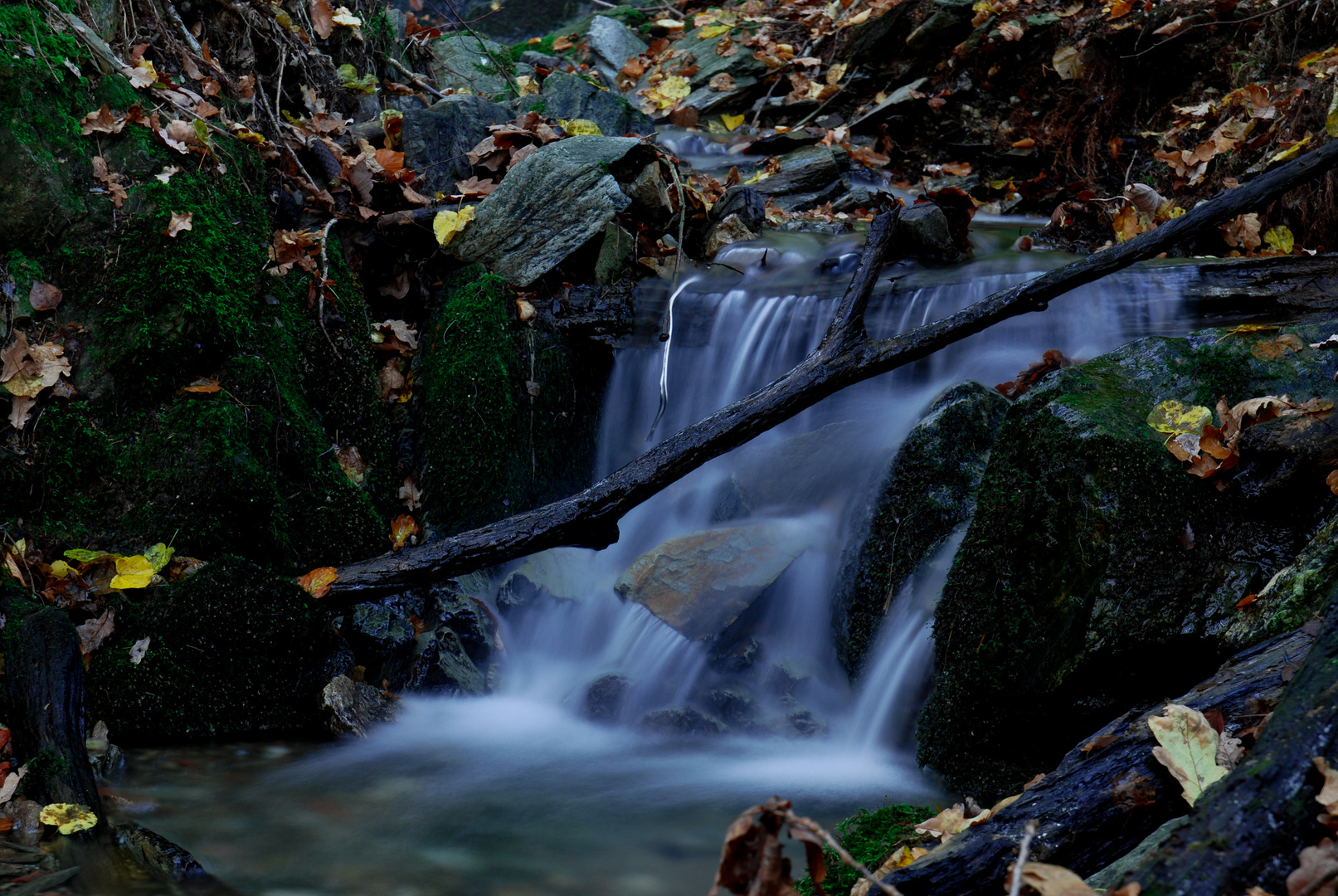 Bachlauf in Wildenfels / Sa.