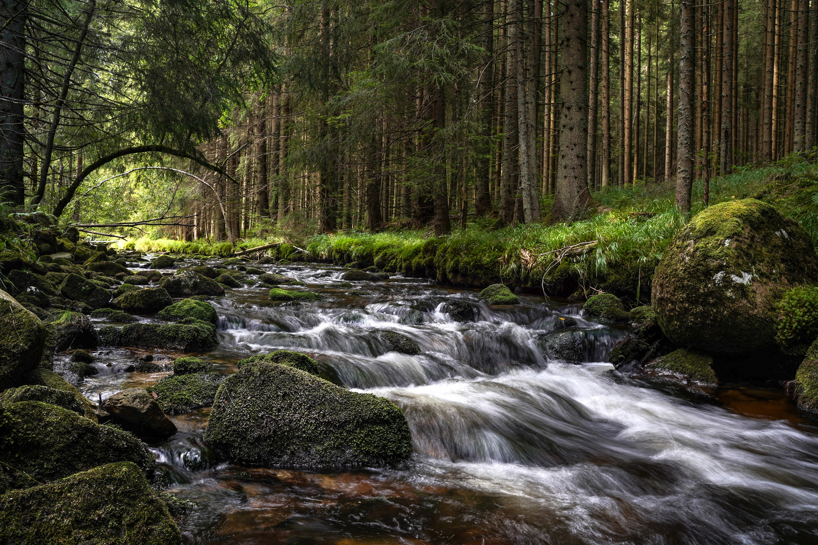 Bachlauf kleine Ohe Foto & Bild deutschland, europe, bayern Bilder
