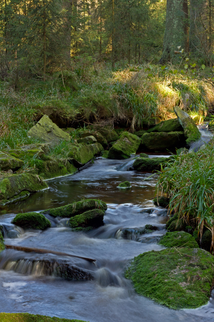 Bachlauf Märchenweg Harz