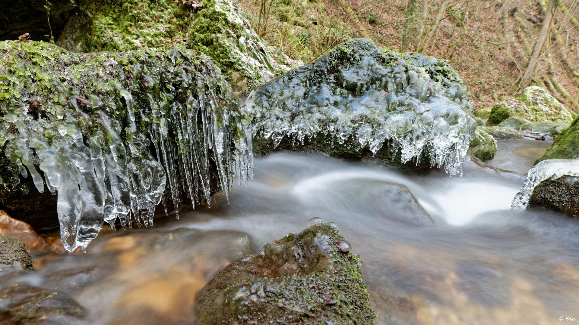 Bachlauf mit Eis