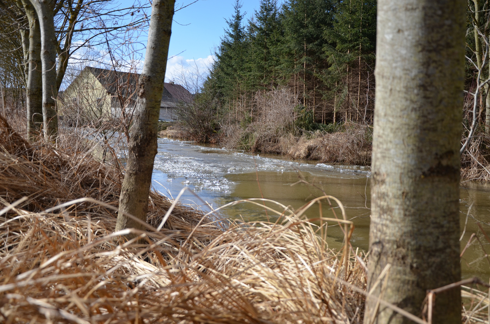 Bachlauf mit Eisdecke