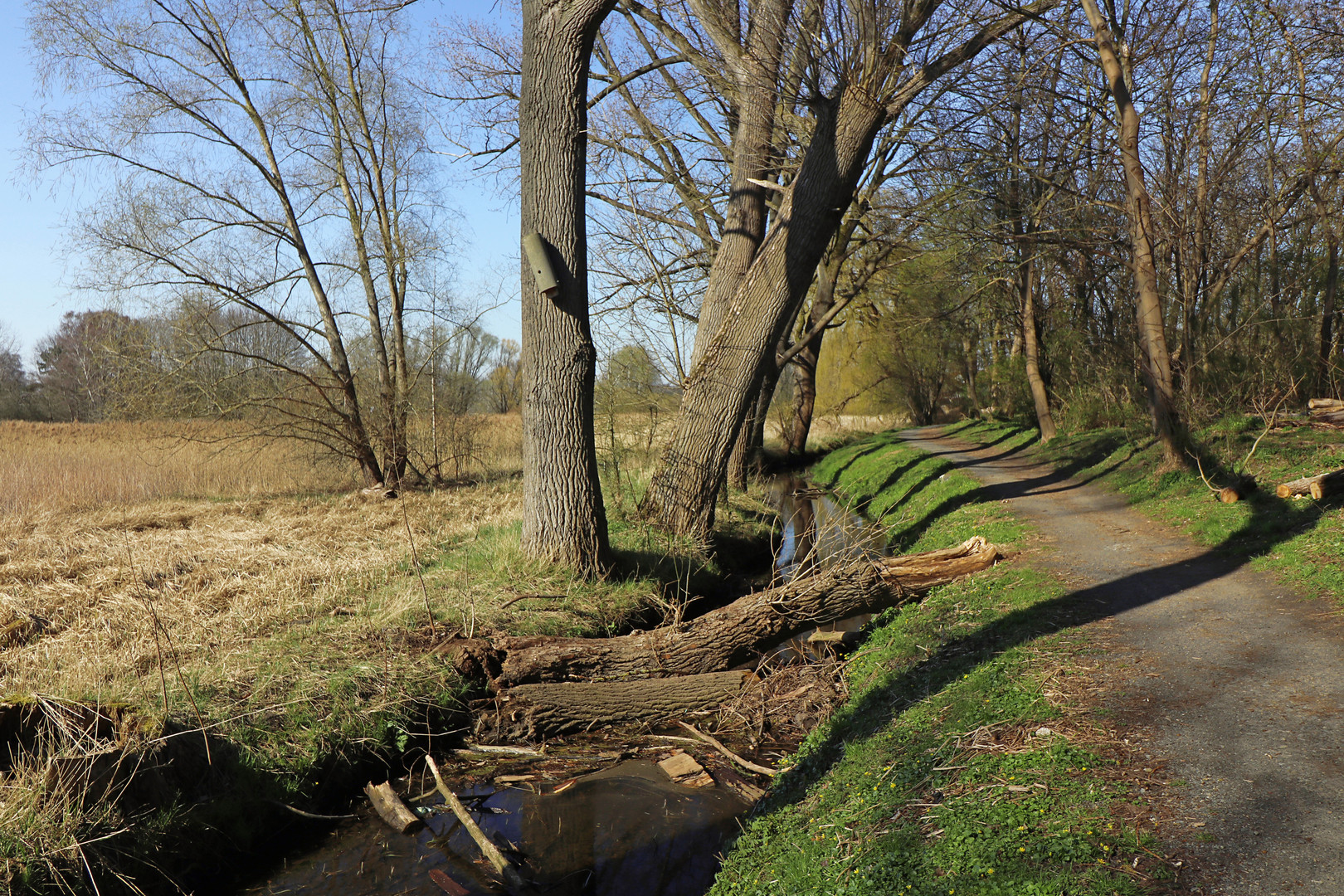 Bachlauf mit Hindernis