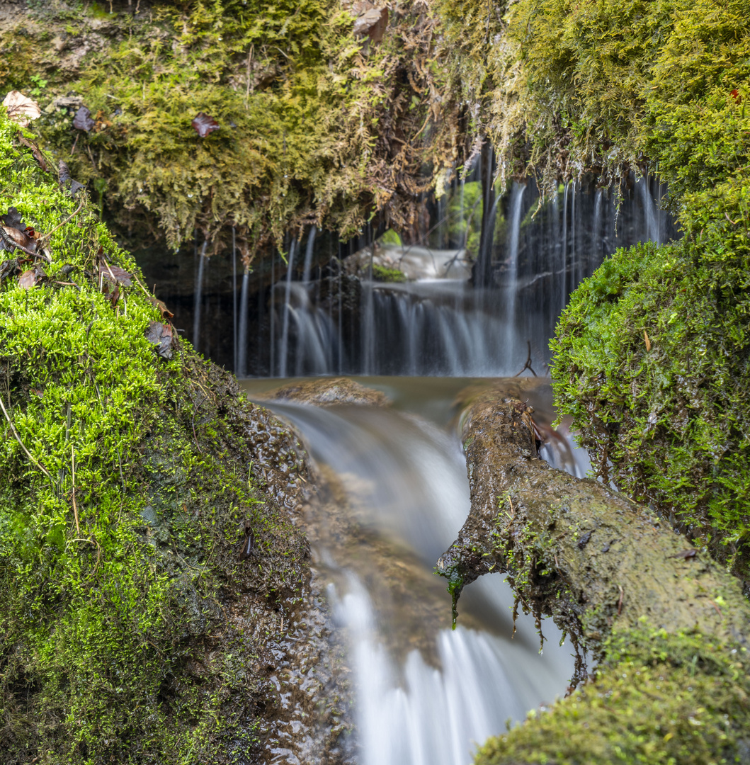 Bachlauf mit kleinen Wasserfällen