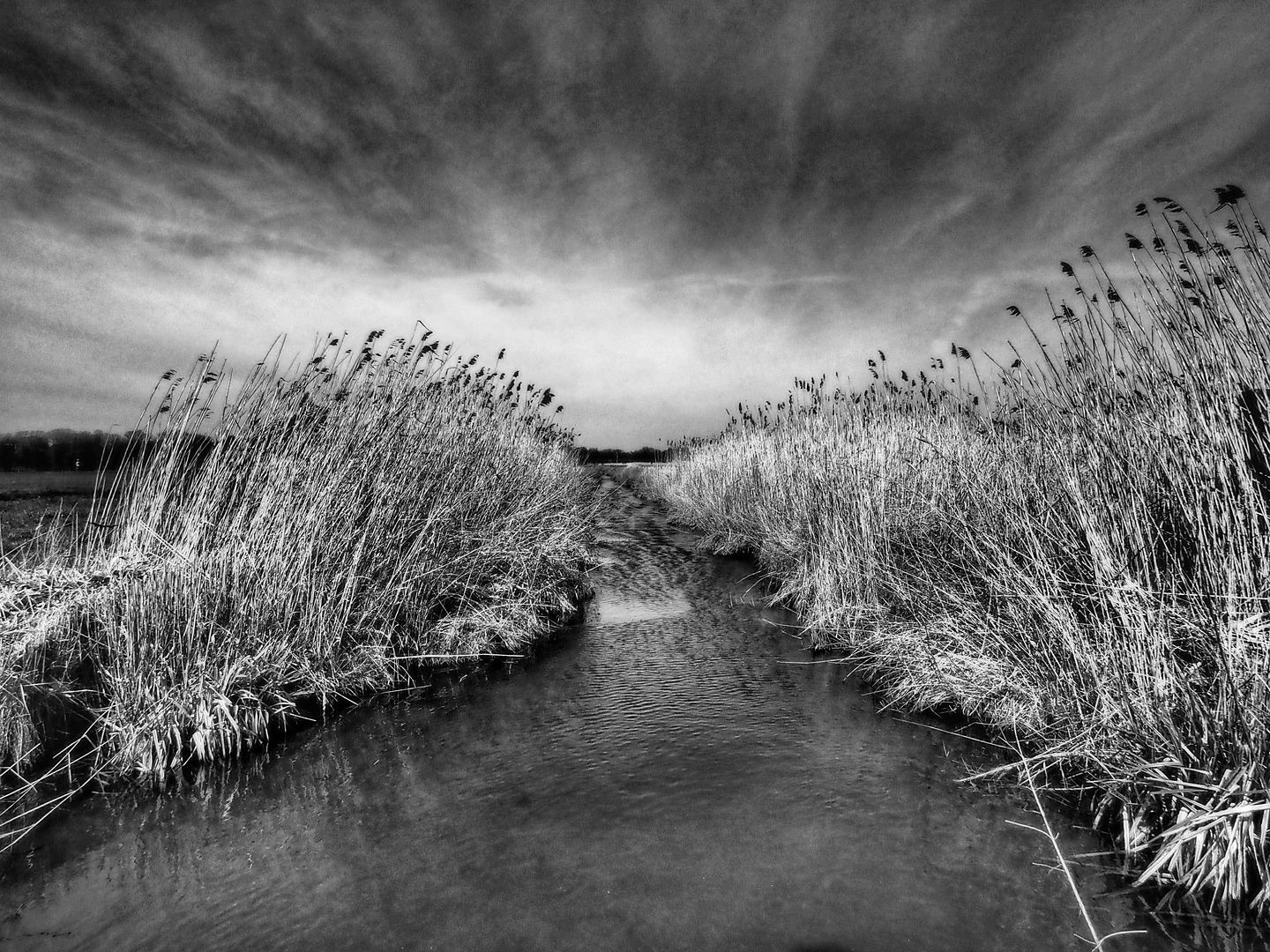 Bachlauf mit Schilf im Bremer Umland