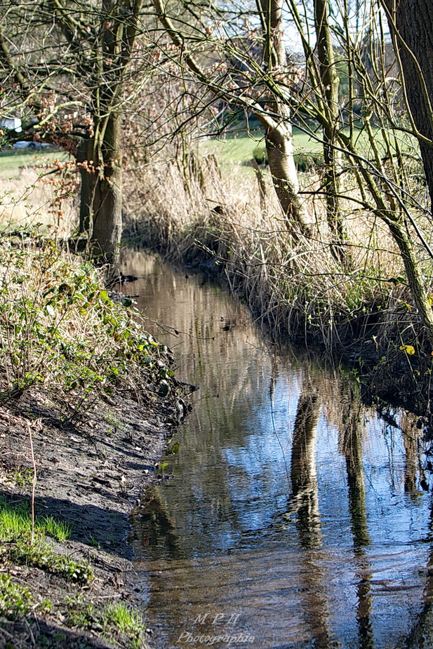 Bachlauf mit Spiegelung