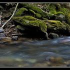 Bachlauf Mit Wasserfall.13