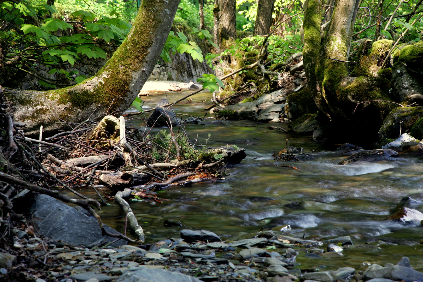 Bachlauf Mit Wasserfall.17