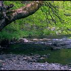 Bachlauf Mit Wasserfall.6