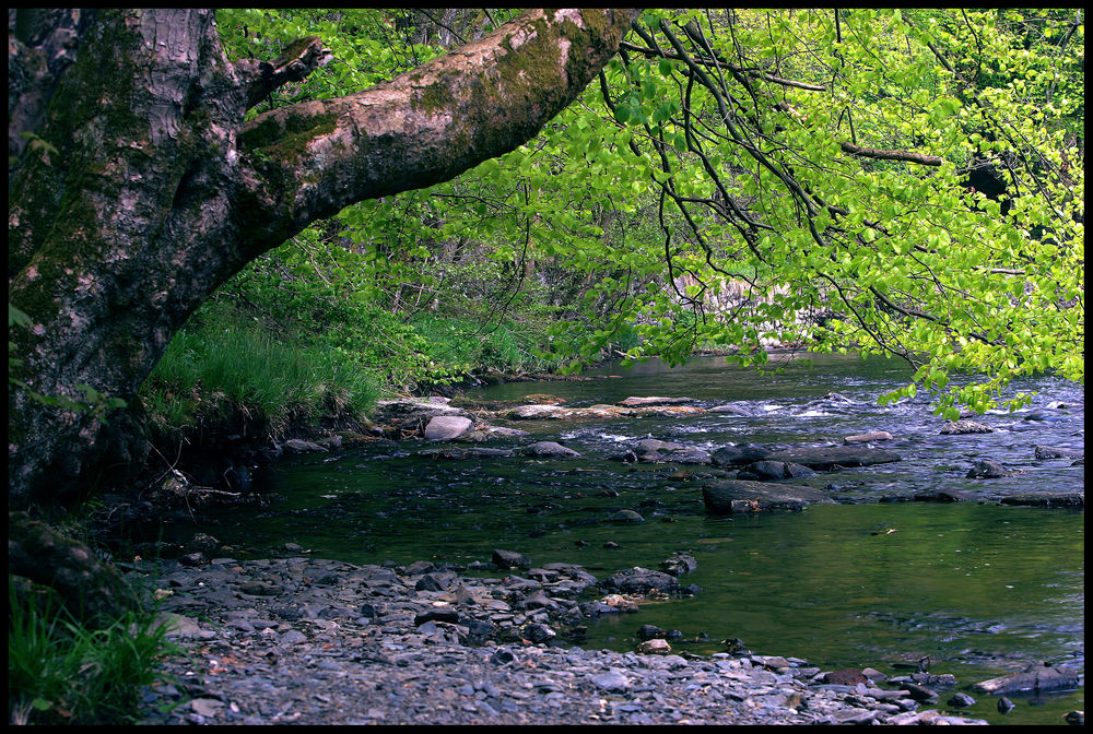 Bachlauf Mit Wasserfall.6