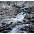 Bachlauf Nähe Rüdenstein - Solingen