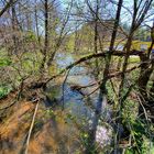 Bachlauf naturbelassen