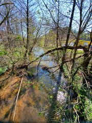 Bachlauf naturbelassen