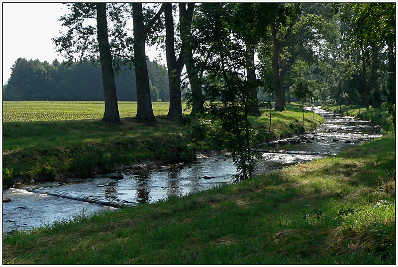 Bachlauf Neumagen