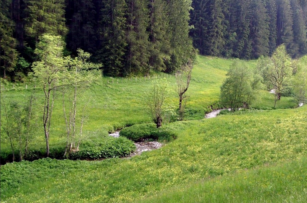 Bachlauf ohne Stromleitung