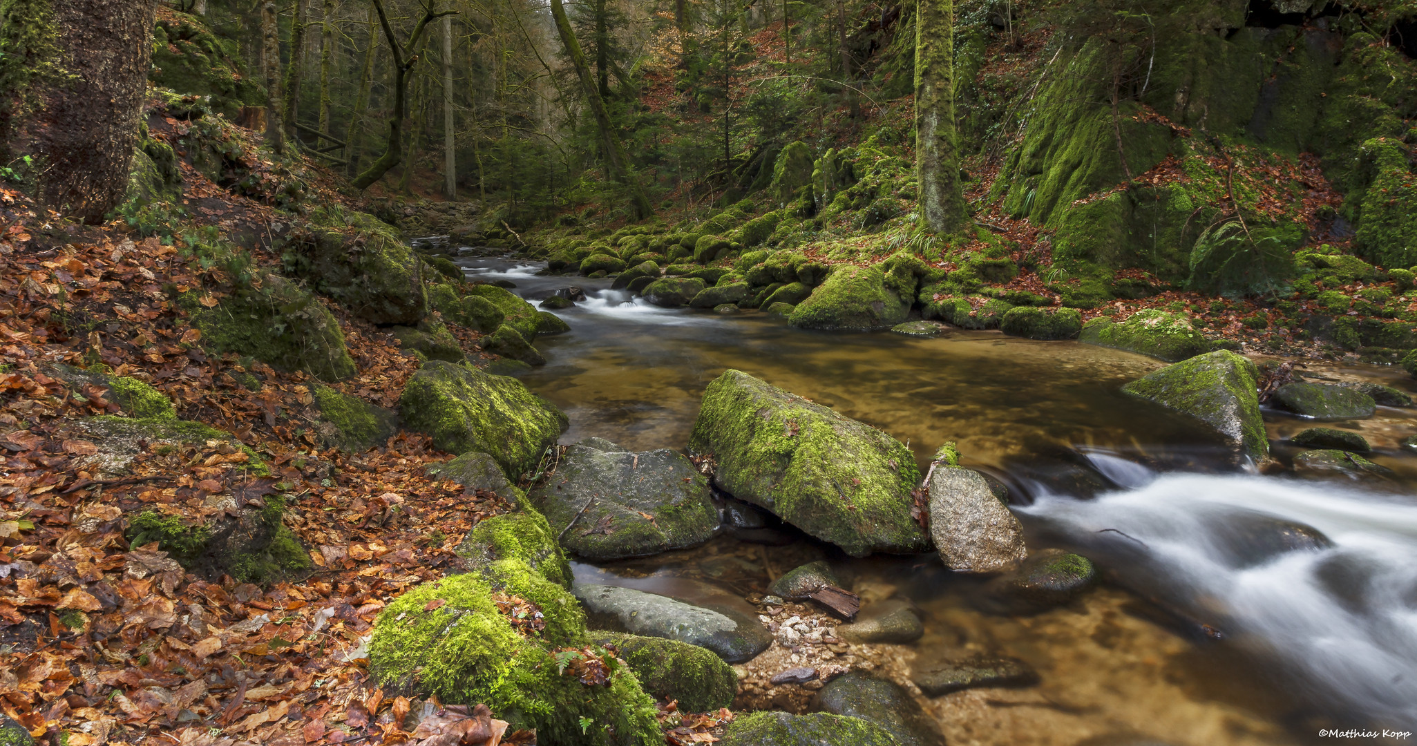 bachlauf schwarzwald