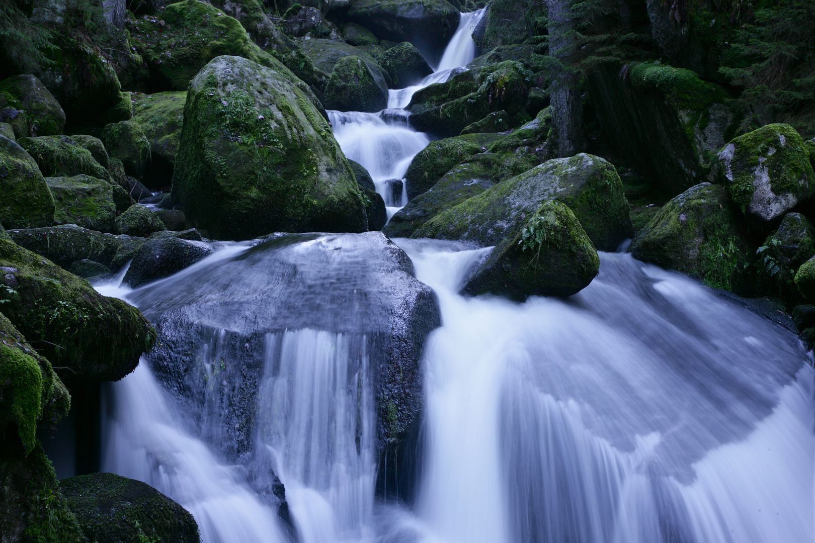Bachlauf Triberger Wasserfall - 3 -