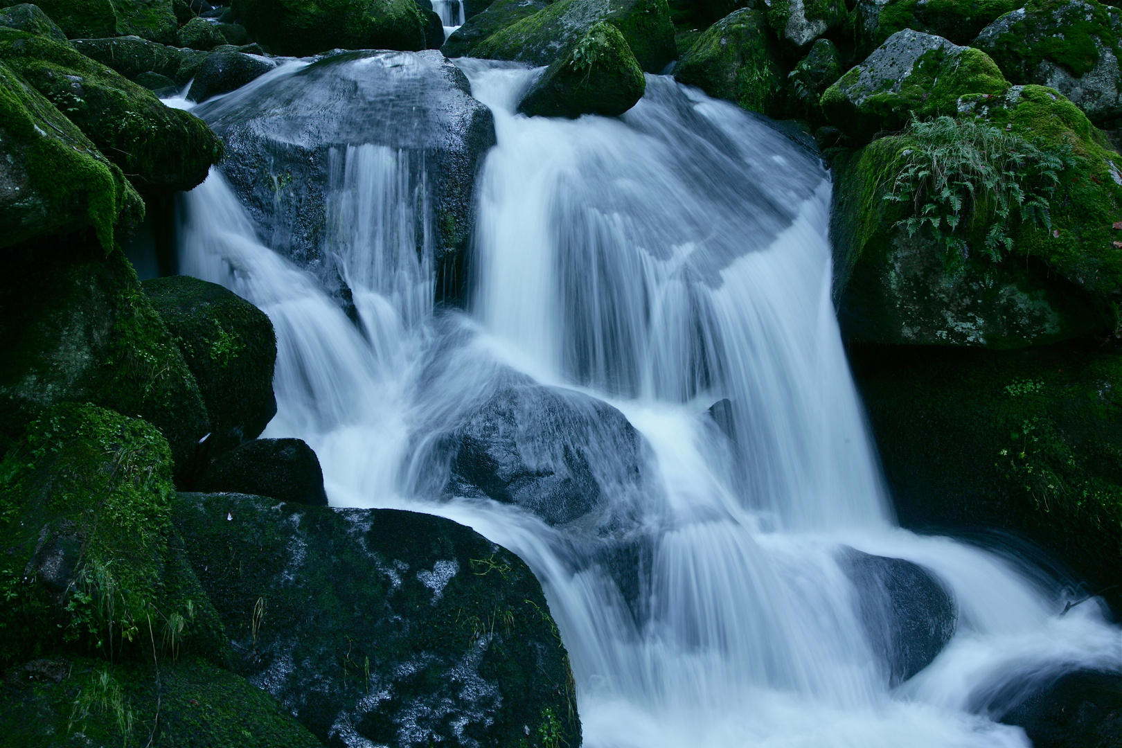 Bachlauf Triberger Wasserfall