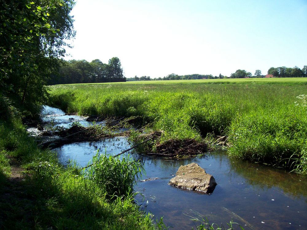 Bachlauf und Umgebung