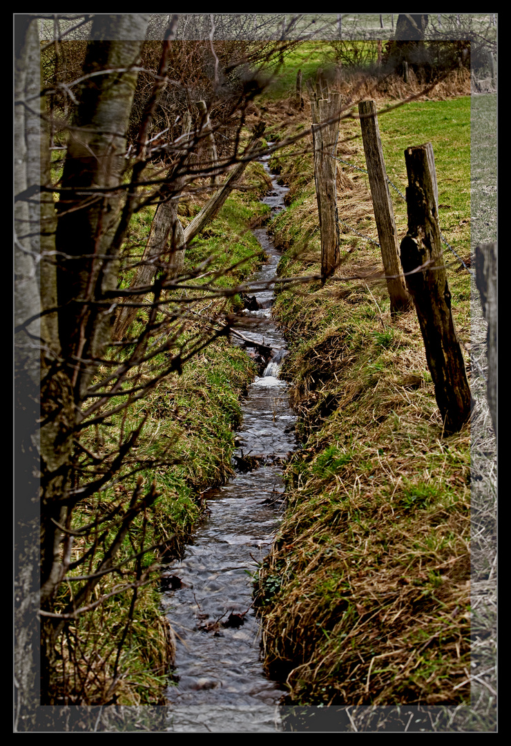 Bachlauf -Wasser