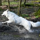 Bachlauf zu Ostern