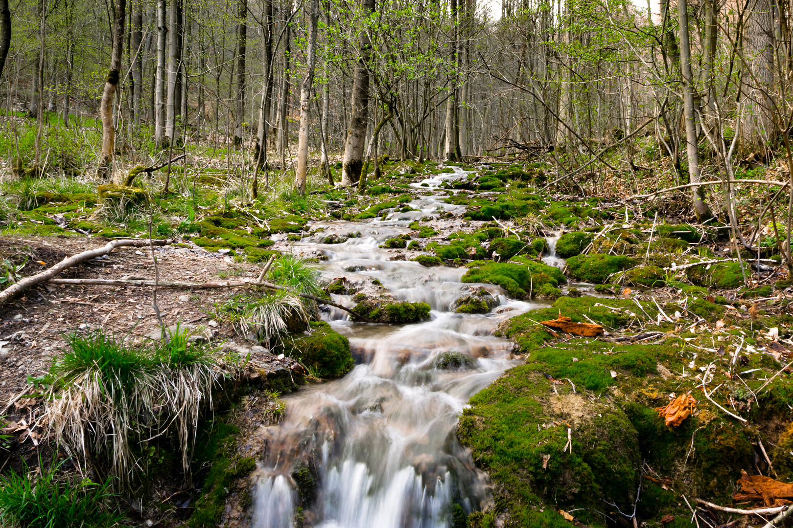 Bachlauf zwischen Rinteln und Hameln