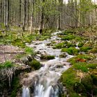 Bachlauf zwischen Rinteln und Hameln