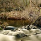 Bachlauf zwischen Winter und Frühling