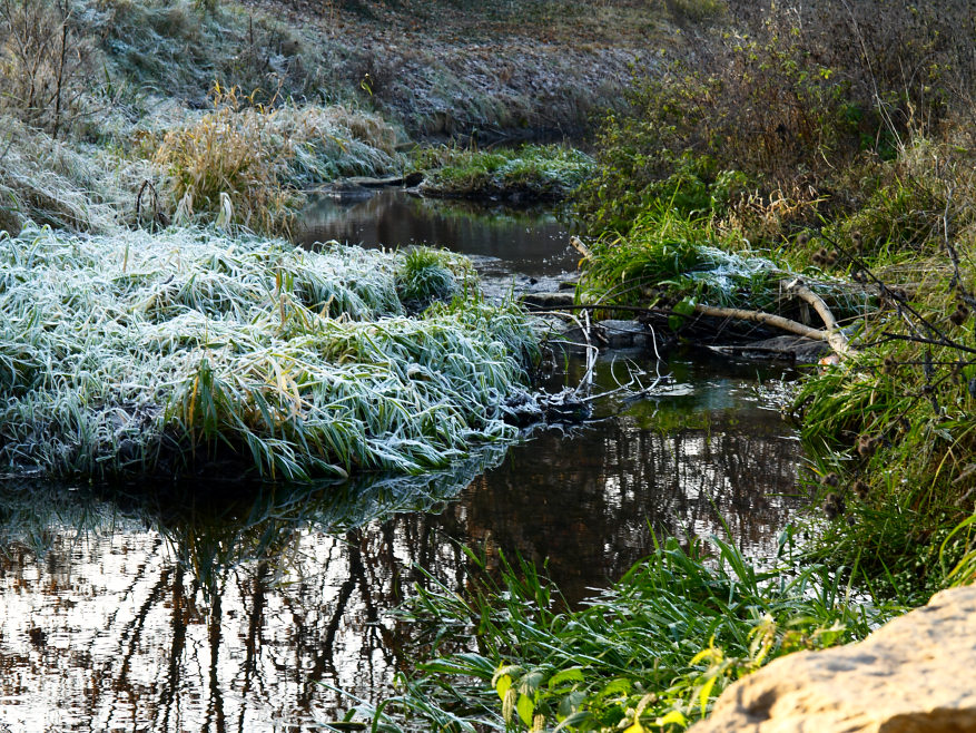 Bachlauf...erster Frost